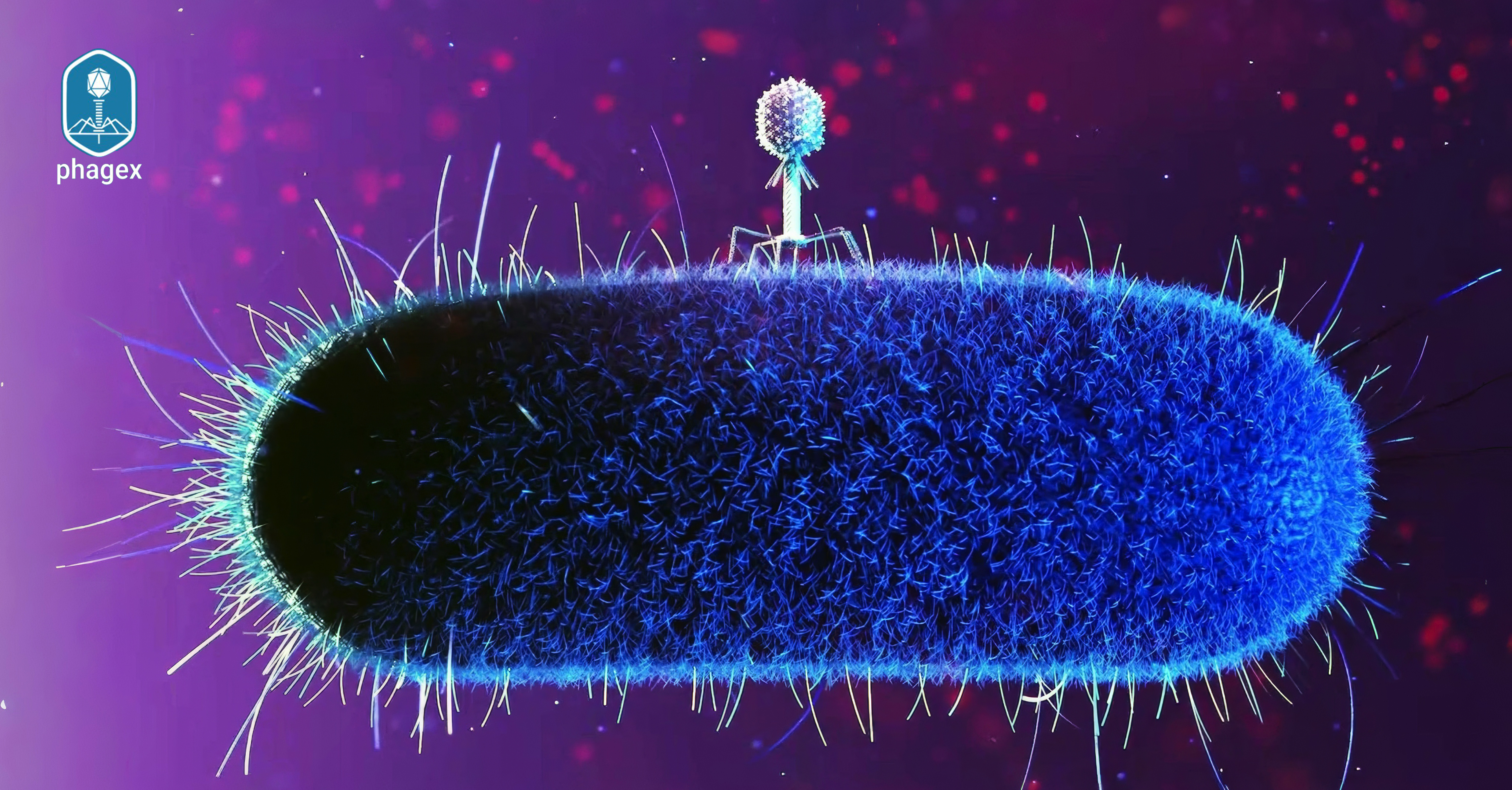 Космічні експерименти з бактеріофагами: прорив у боротьбі з інфекціями